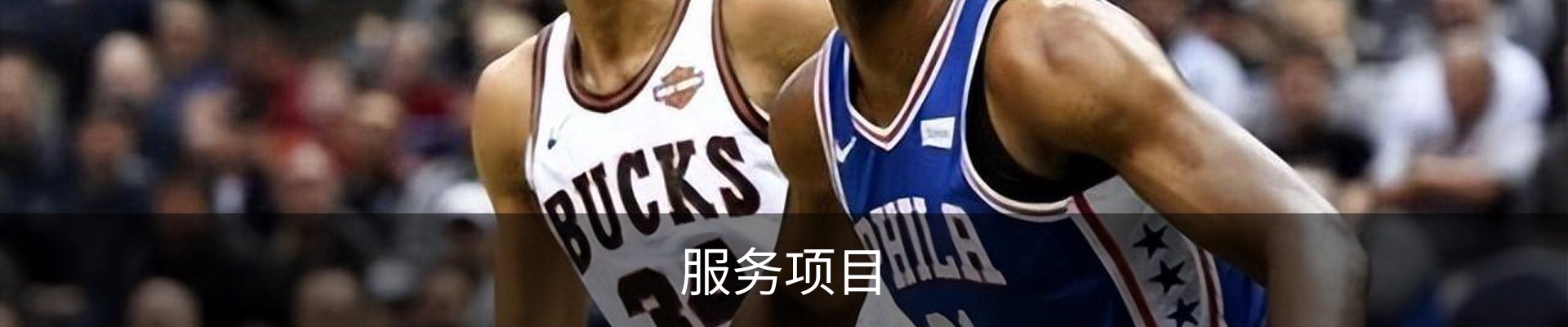 服务项目